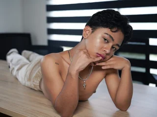 Dantebre profile